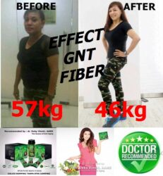 Gnt Fiber Pelangsing Super Cepat Ramping Tanpa Efek Samping